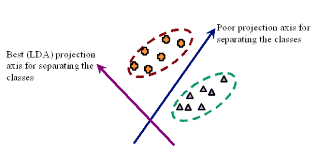 image-20230705095457443